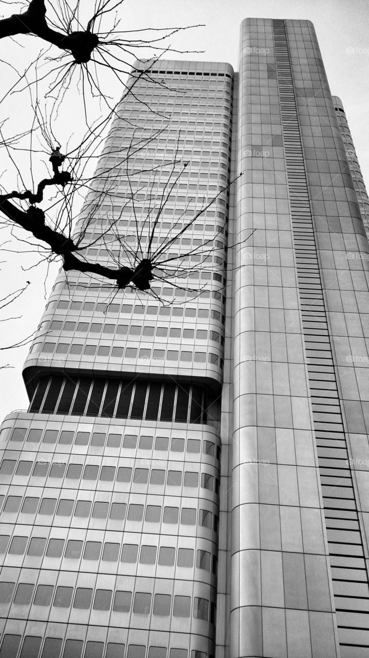 Germany. Frankfurt. Wolkenkratzer