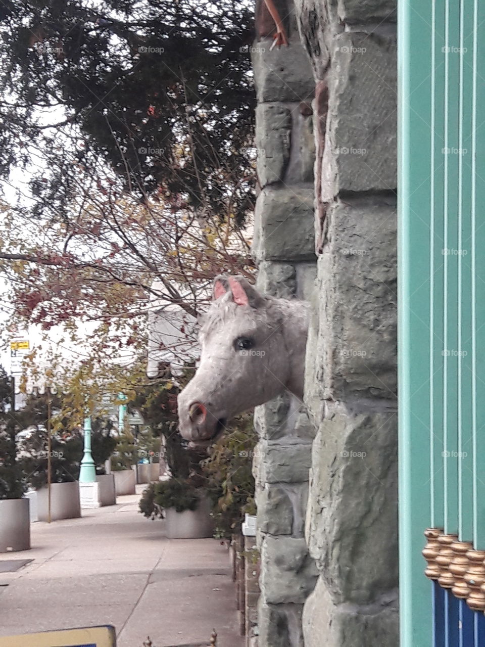 creepy horse statue...