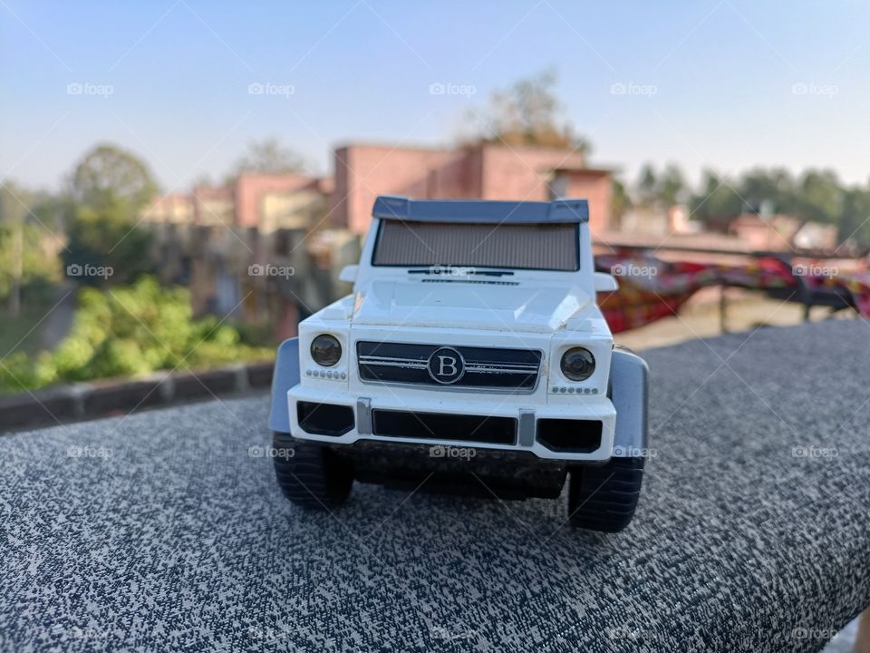 editors' choice: photo of the week