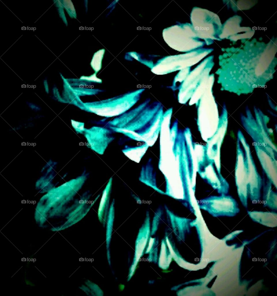 with bells on. lighting effects