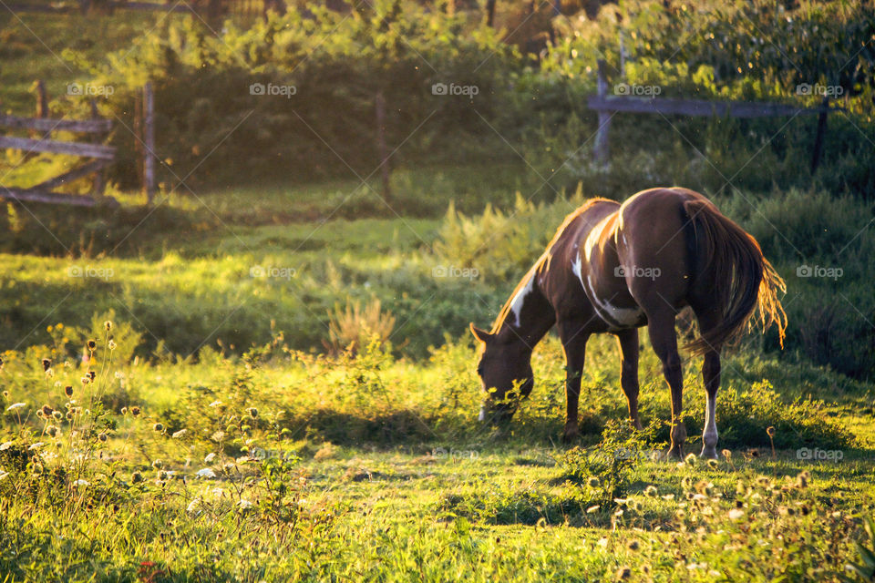 Countryside in New England 