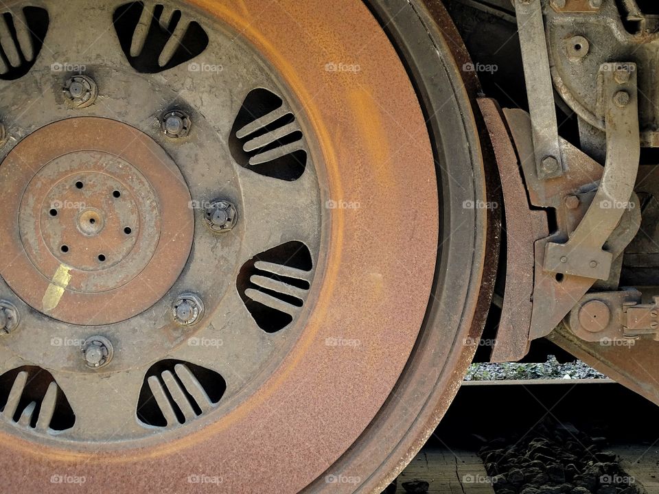 The beauty of the color brown