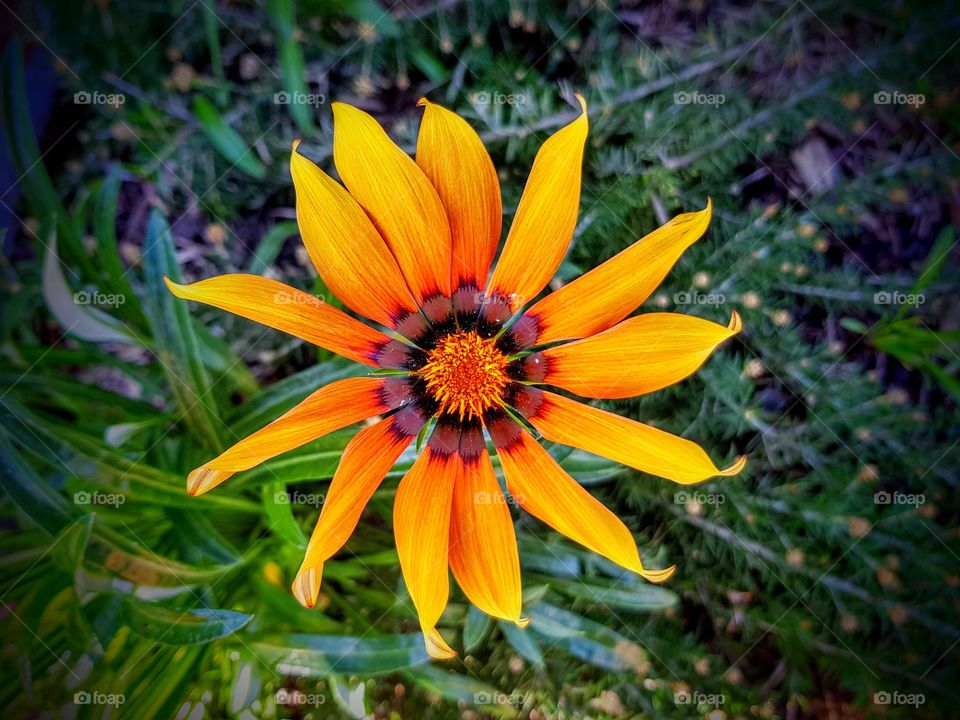 brightersideofwinter