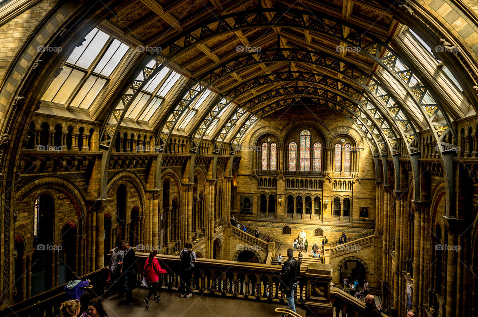 Victorian building. Natural history museum London 