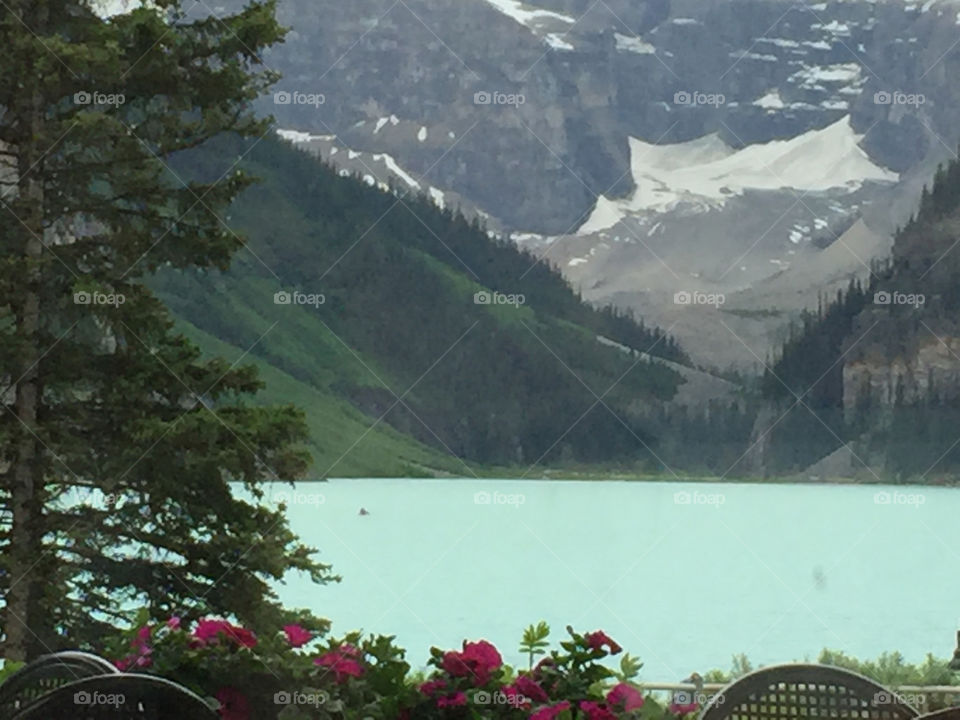 The flowered terrace lines the borders of Lake Louise and the icy July waters lap the edge of the mountains. 