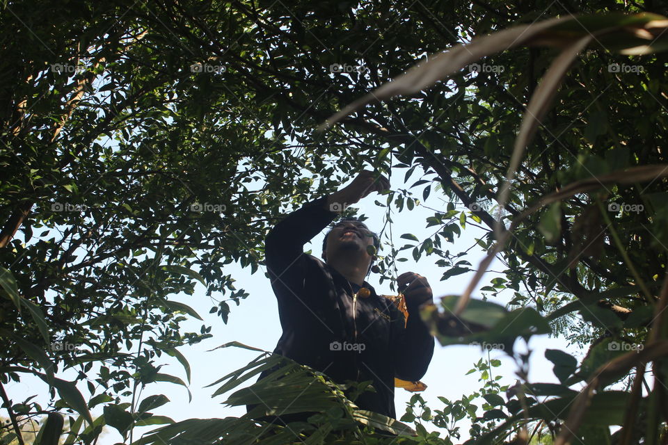 picking fruits in the graden back yard from home.