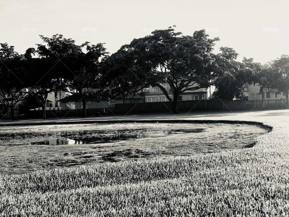Lake on the baseball pitch