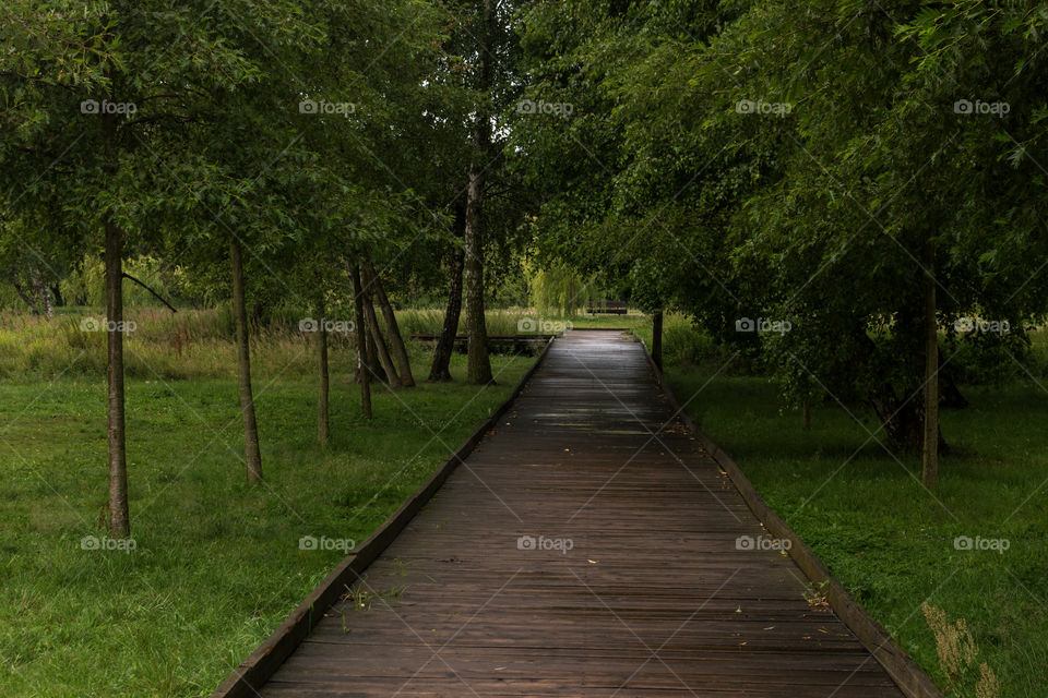 •  🌳  Ecological Promenade / Walking Path In Ronald Reagan Park
•  💚  Wooden Path In A Green Park