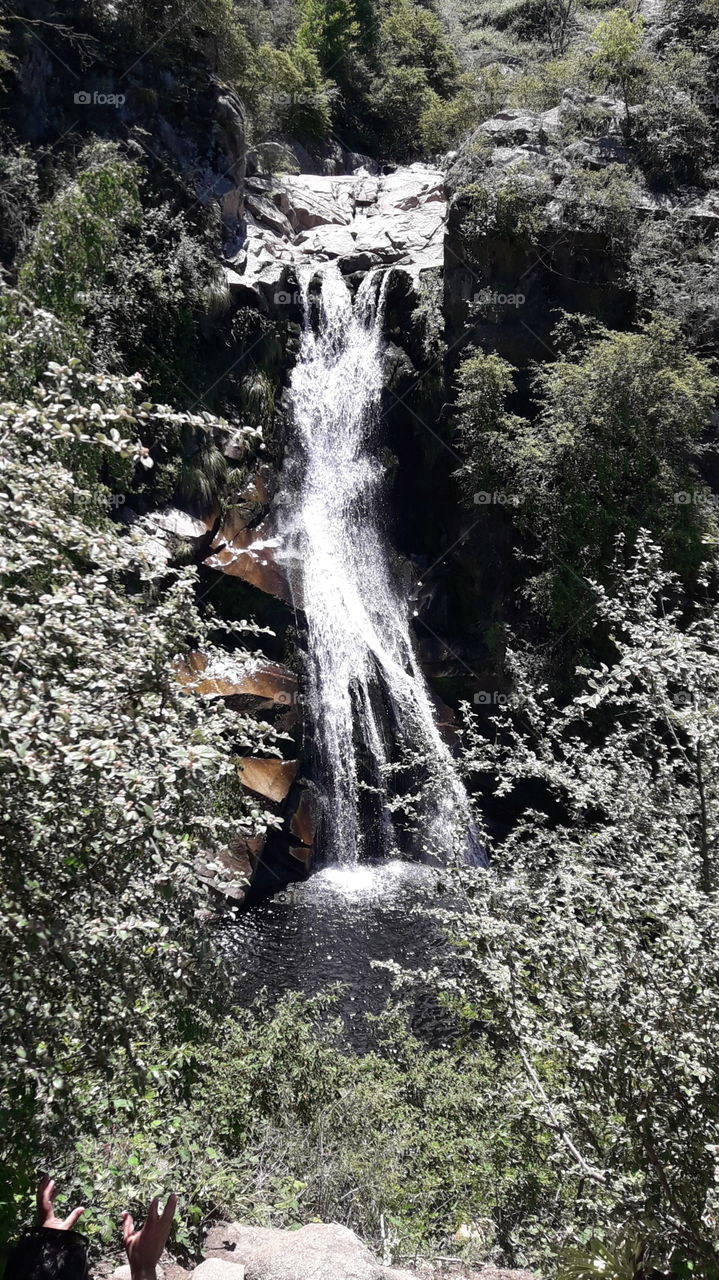 Agua canta