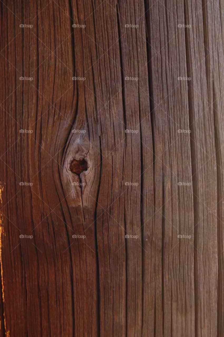 texture in Nature