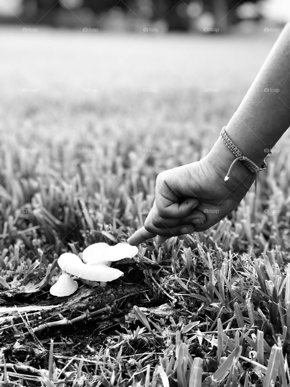 Little girl finds a white mushroom 