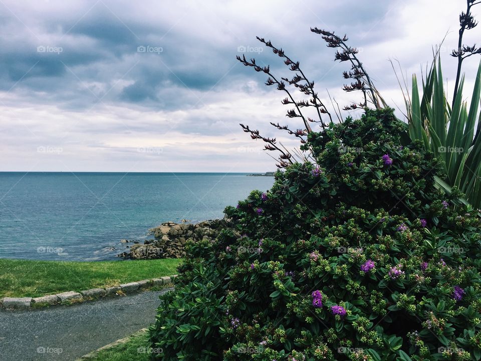 Seaside view