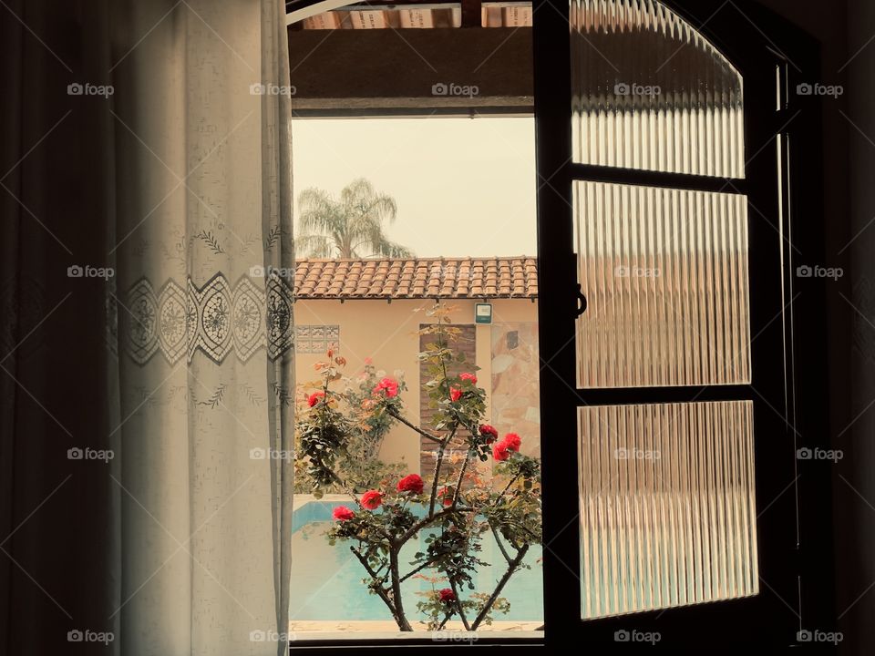 Window view to red roses