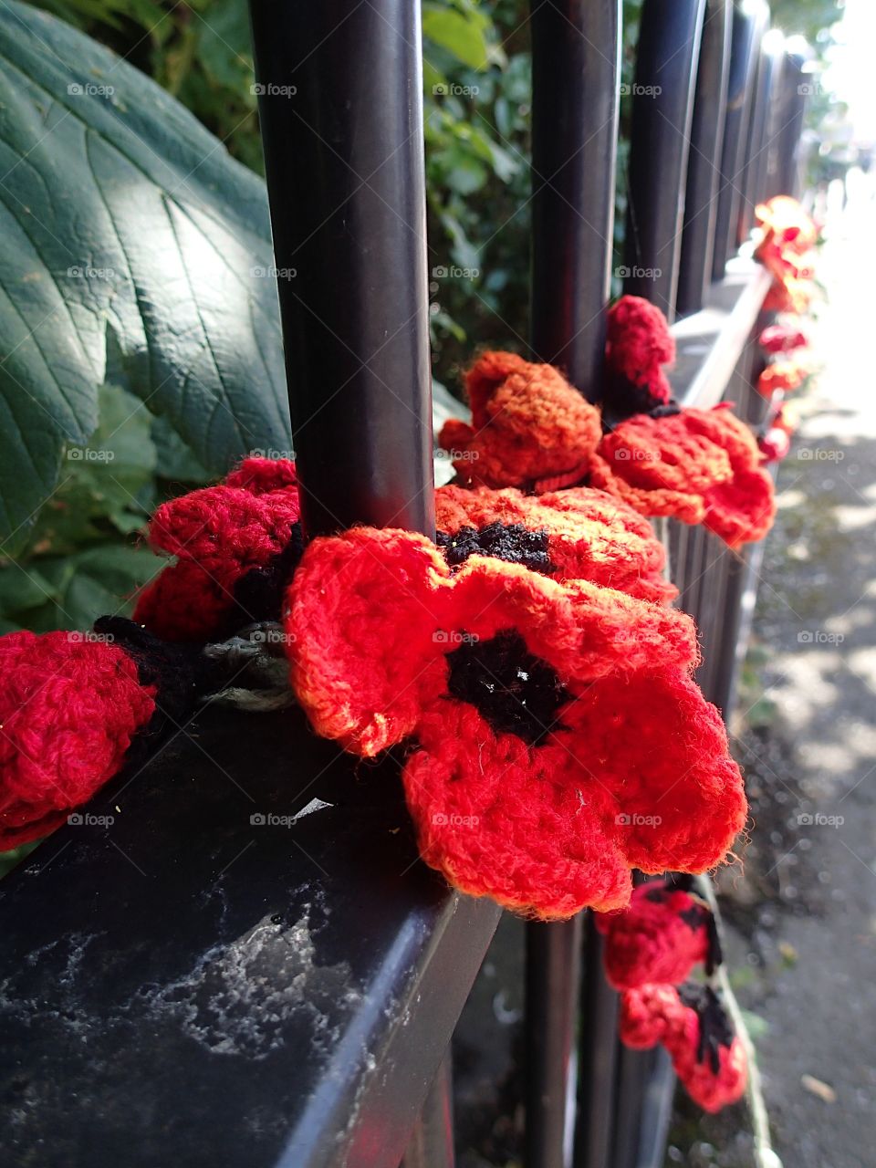 Rowe’s of beautiful hand crocheted poppies of red and black along a dance in remembrance. 