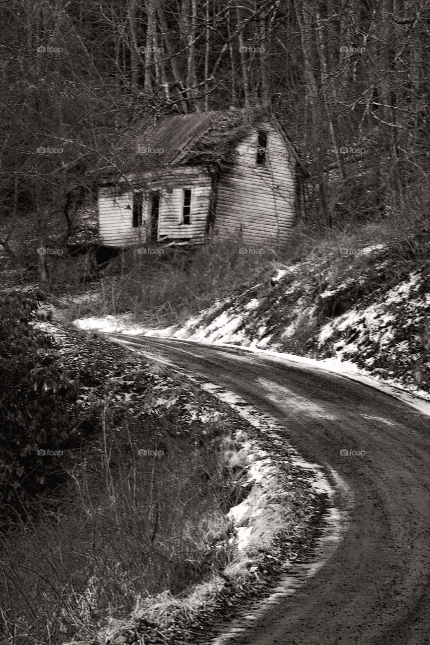 Snowy Path to the House 