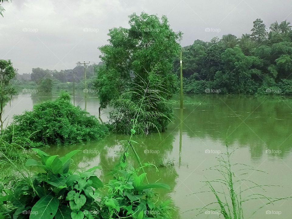 flooding