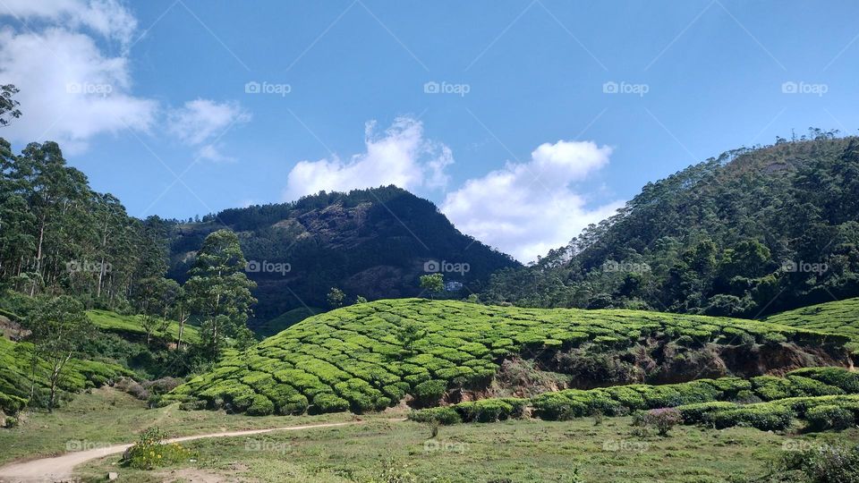 Adopt the pace of nature