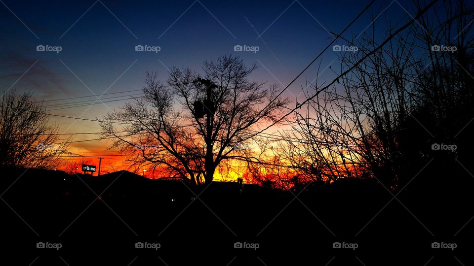 red sunset behind tree
