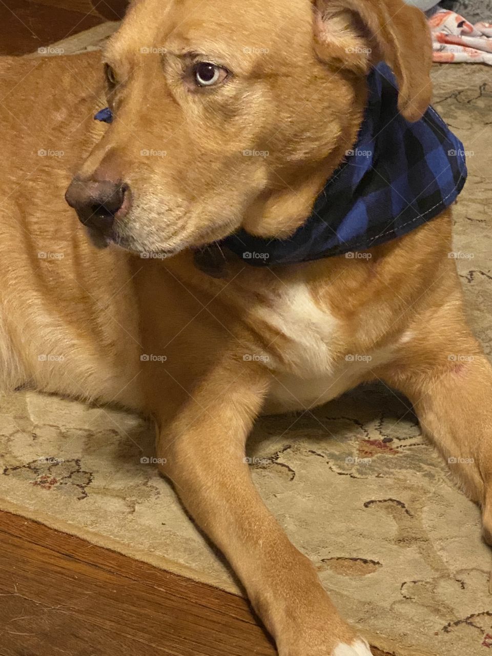 Don’t he look dapper 