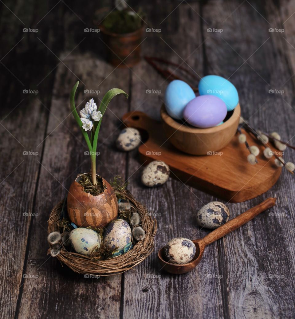 Easter still life with quail and colored eggs