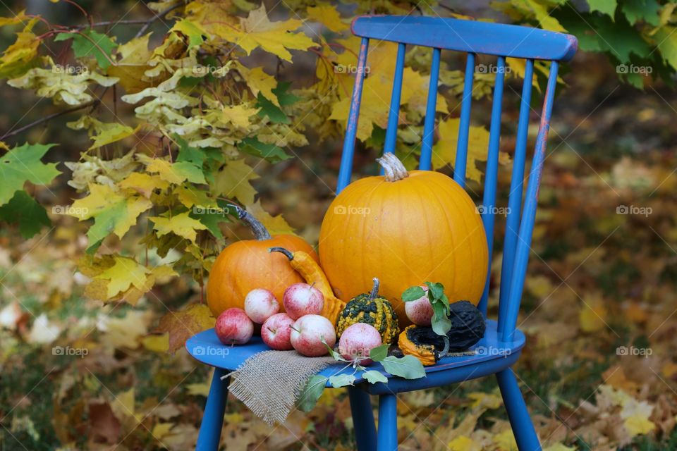 autumn, pumpkins time