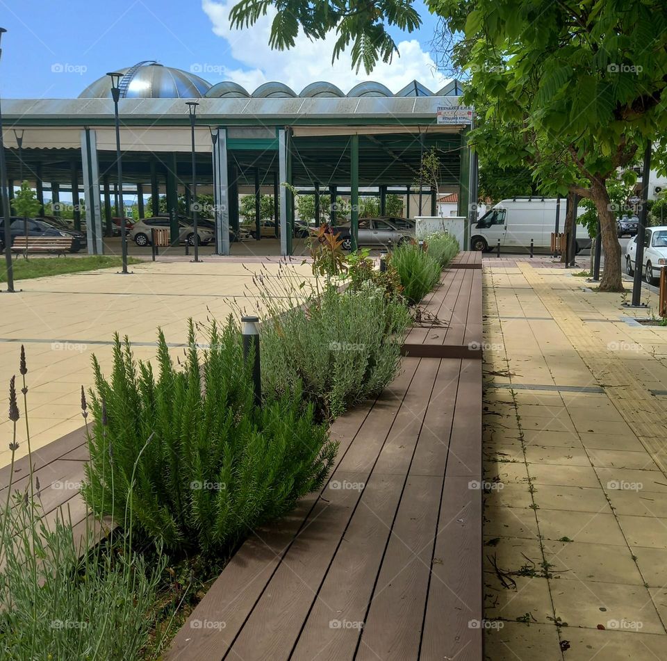 Plants in a small park