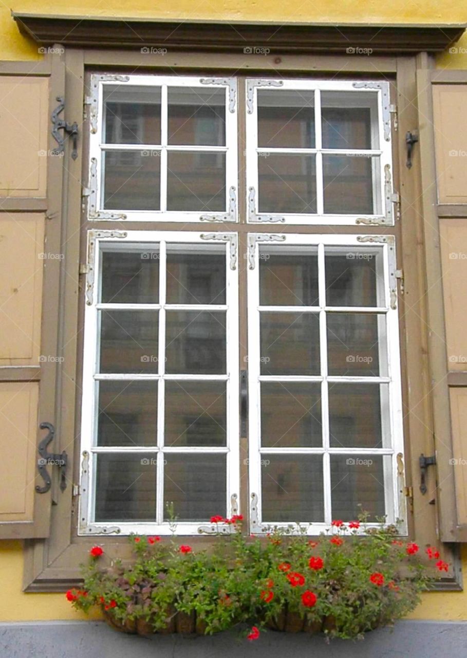 European window 