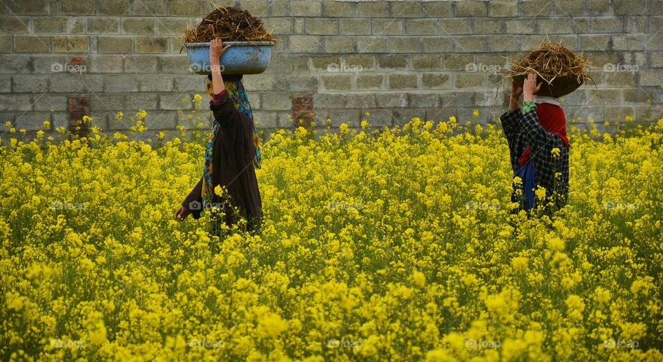 Girl in the field