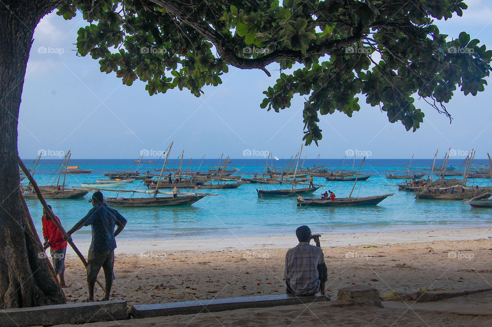 Fishing boats on the island of Zanzibar.