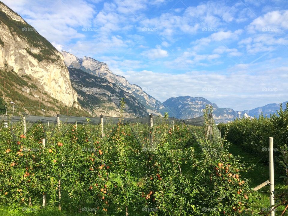 Italy. Trento. Lovely. 