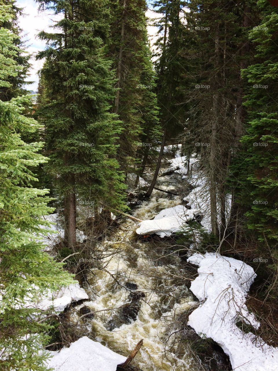 Snow is melting and the river is getting high! 