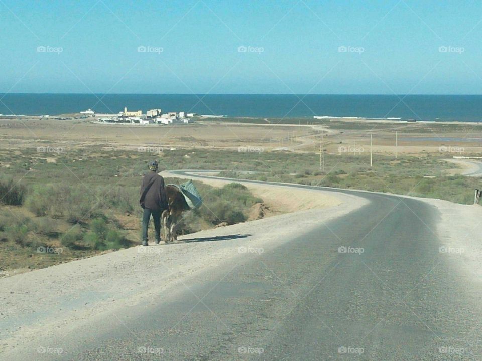 A man walking with hos donkey