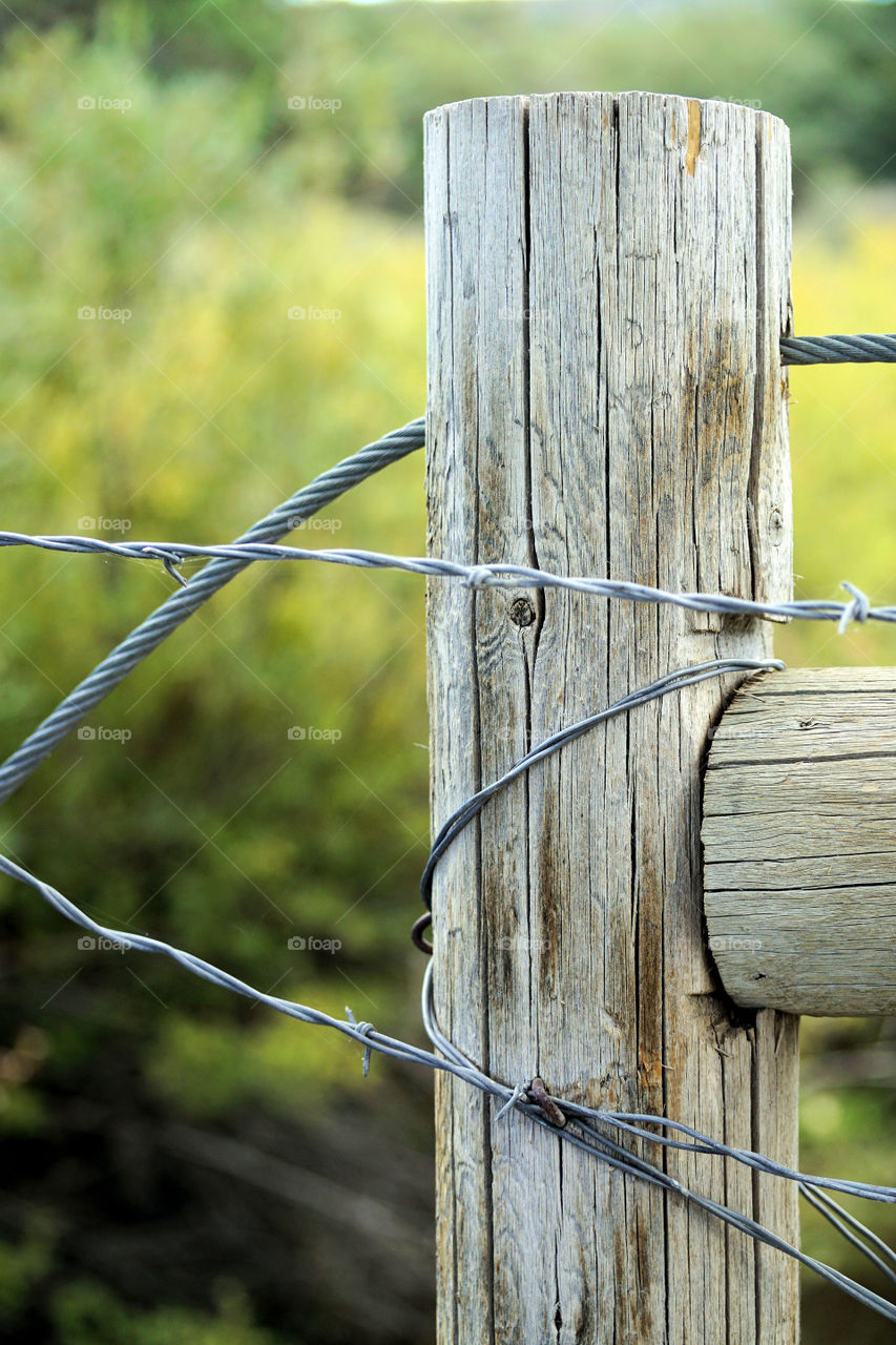 Fence post