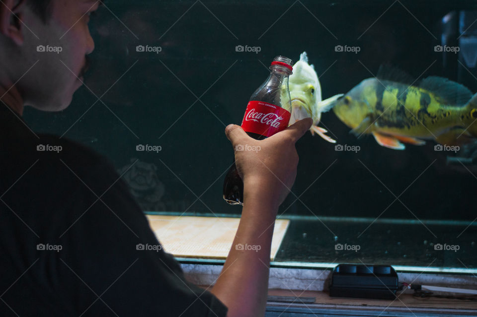 A man is looking at the fish in the aquarium holding a bottle of coca cola