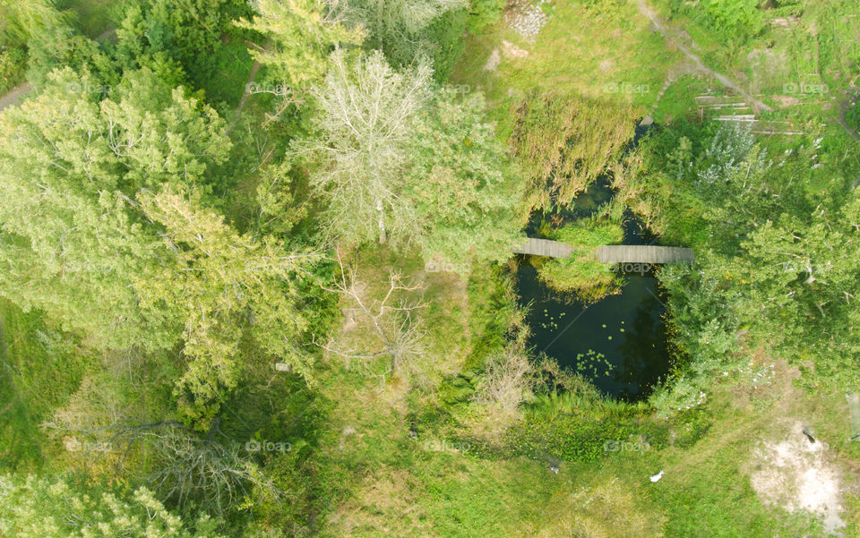 Alone lake in the forest 