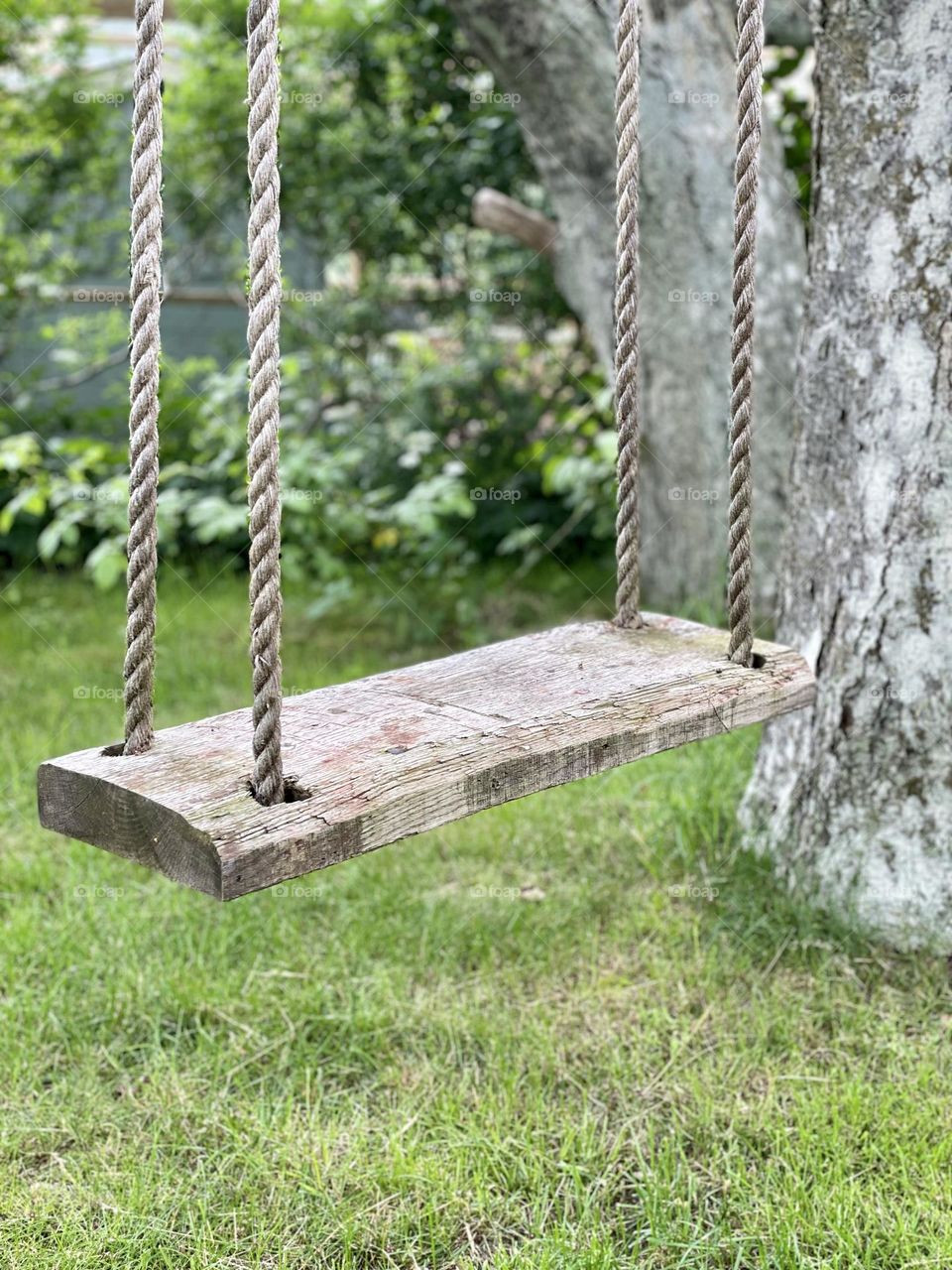 wooden swing in old garden 