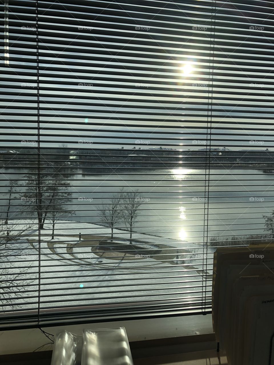 View from office window. Sunshine. Lake. Tree. 