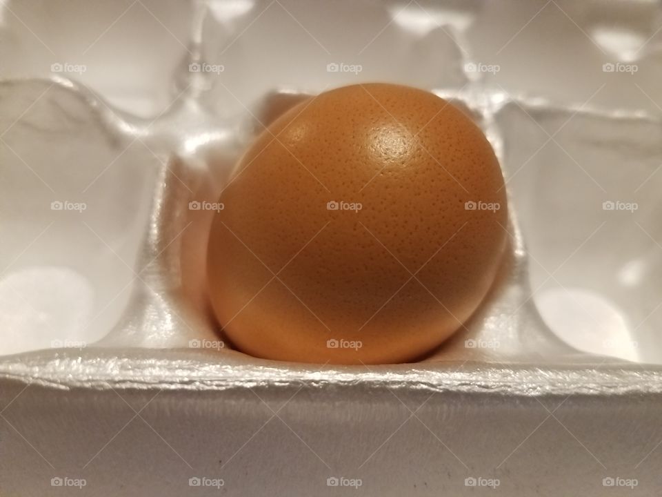 lonely Brown egg