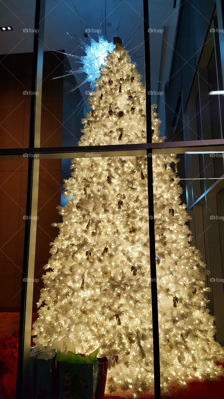 Christmas Tree in Dallas