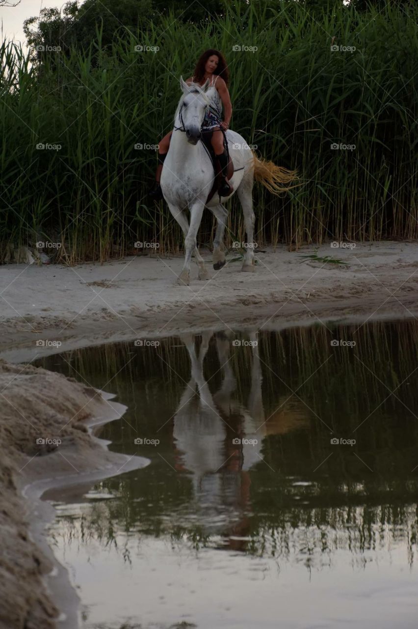 A Horse Rider 