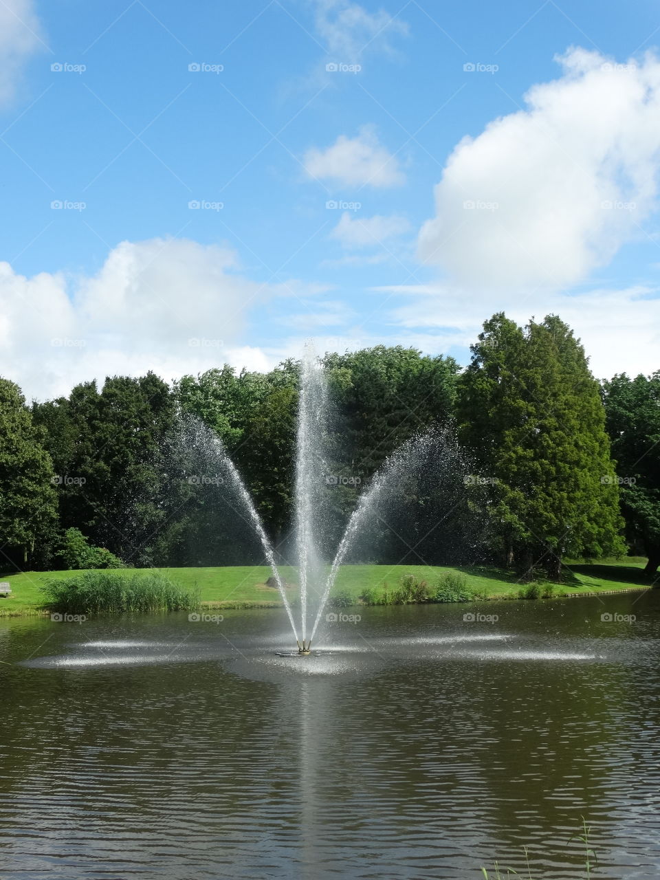 fountain at a nature funeral