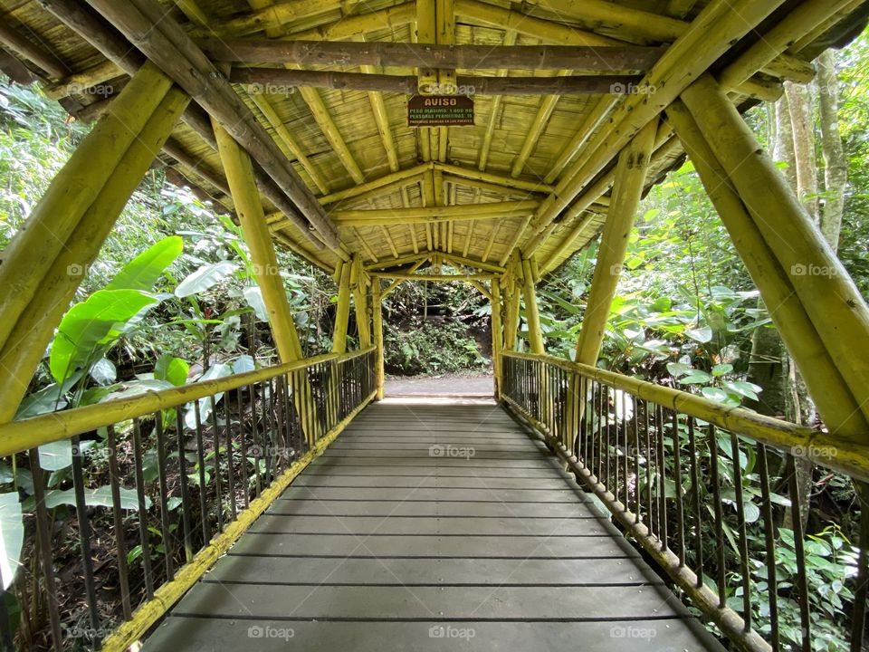 Puente en guadua