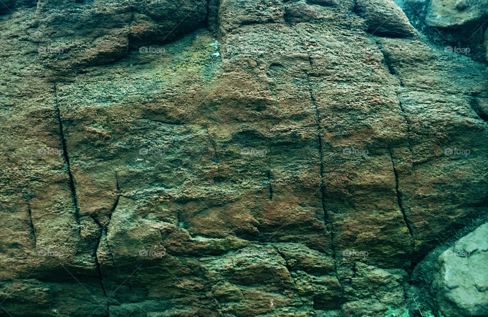 Rock’s Pattern