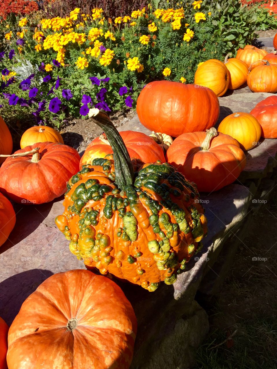 Playing with light and shadow