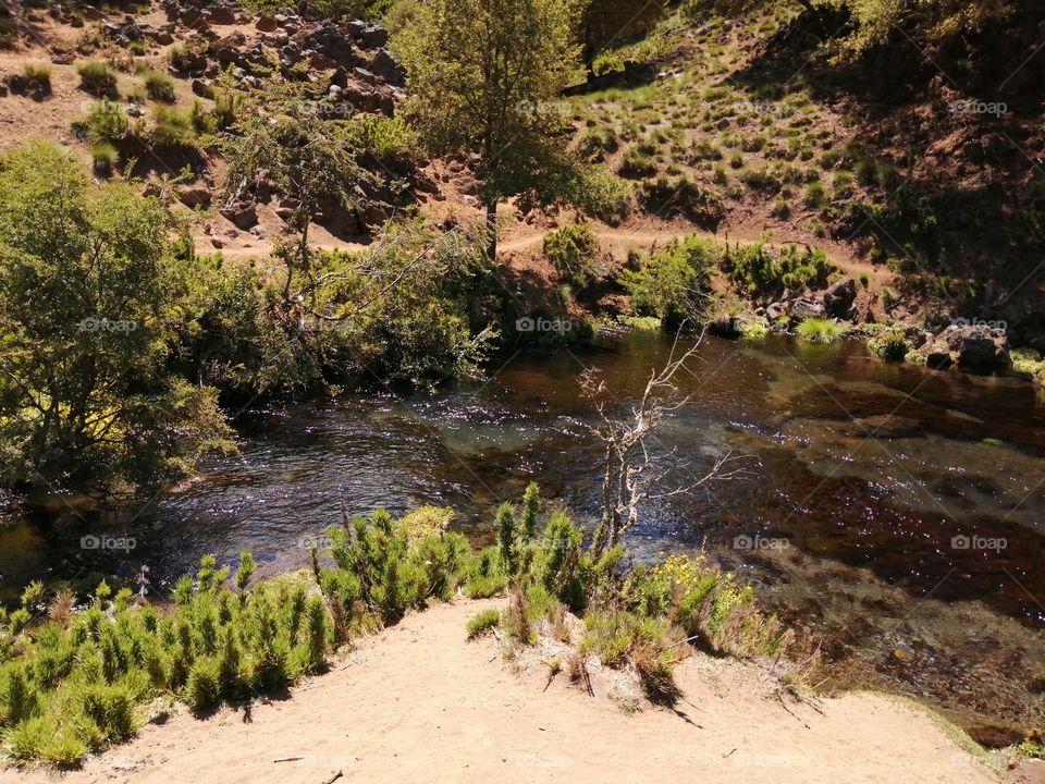 Nacimiento del ojo de agua