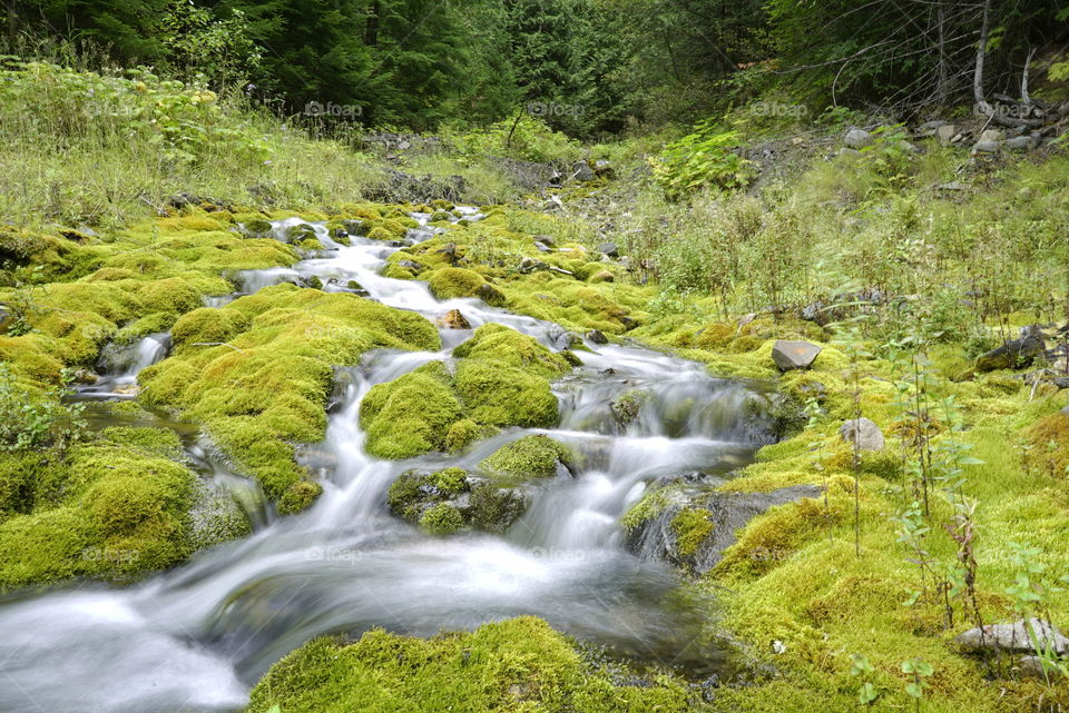 A roadside creek flowing between Sandon and New Denver, British Columbia