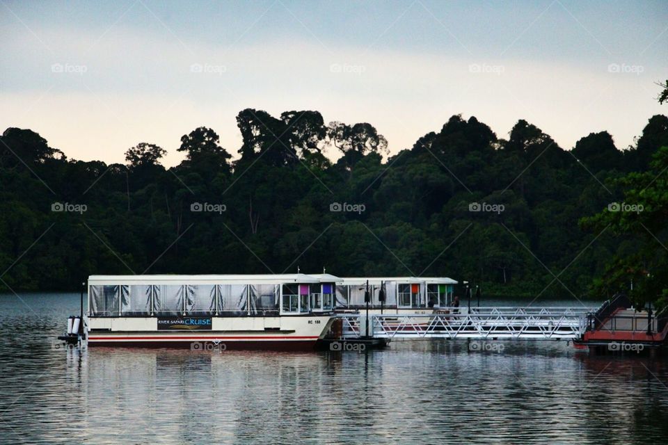 River Safari cruise boats float on the serene horizon.