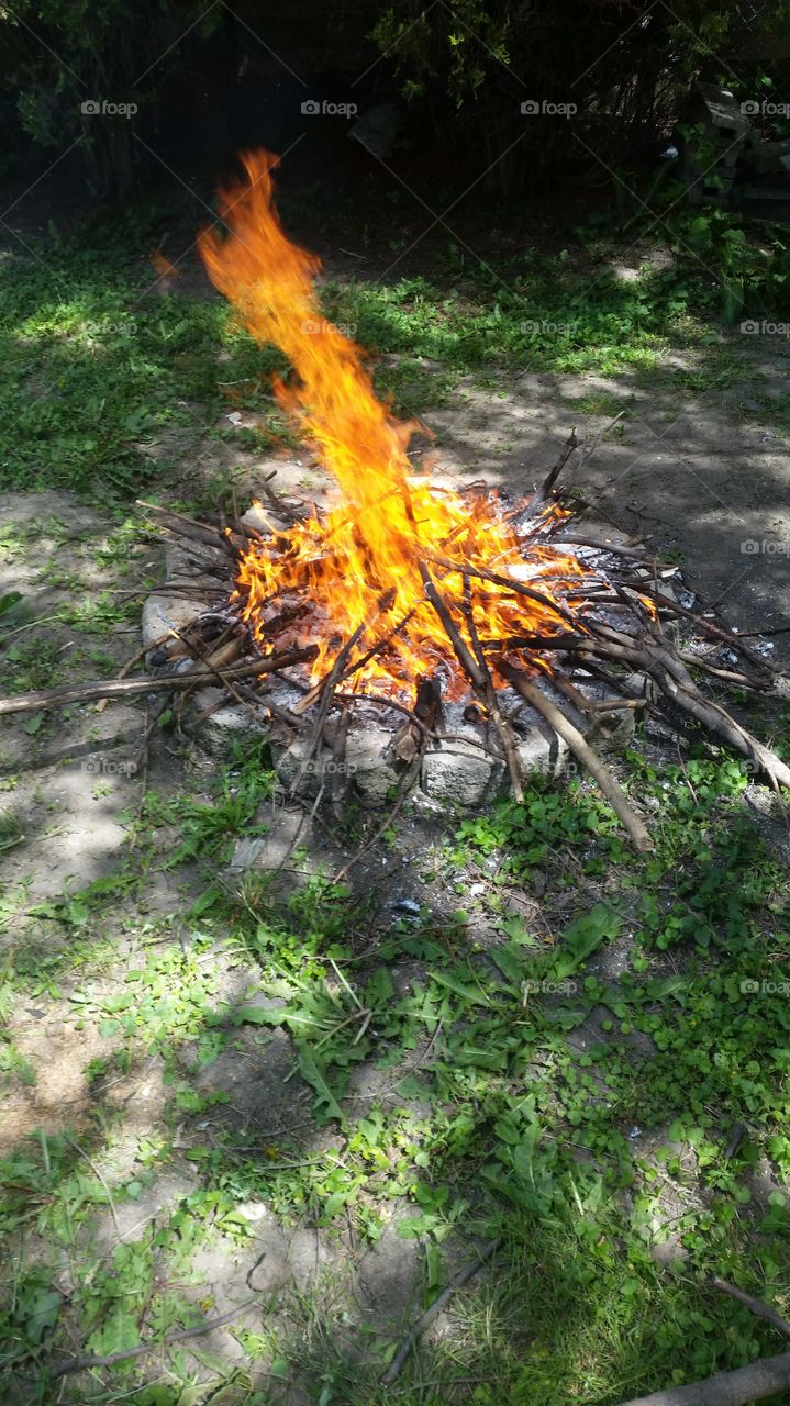 bonfire. bonfire