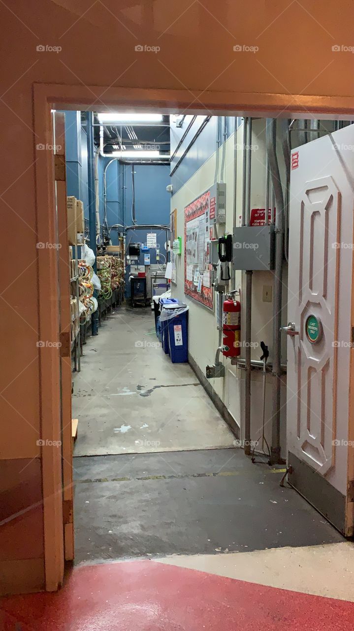 #day128 Everyday WDW Orlando Florida. I have been lost on Disney Properties consecutively since 4/3/19 You can find my encounter https://www.facebook.com/selsa.susanna or on IG selsa_susanna Epcot 8-8-19 Thursday