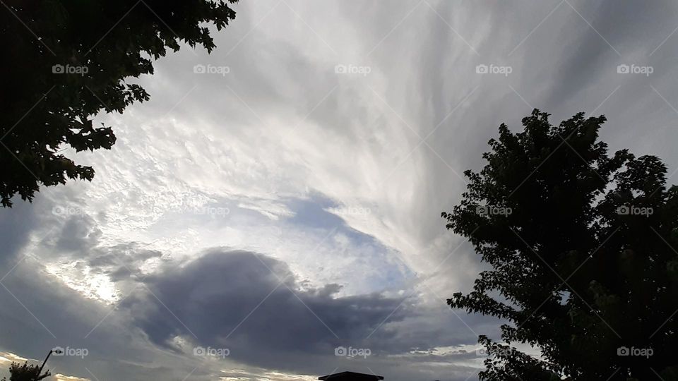 Yinyang Skies